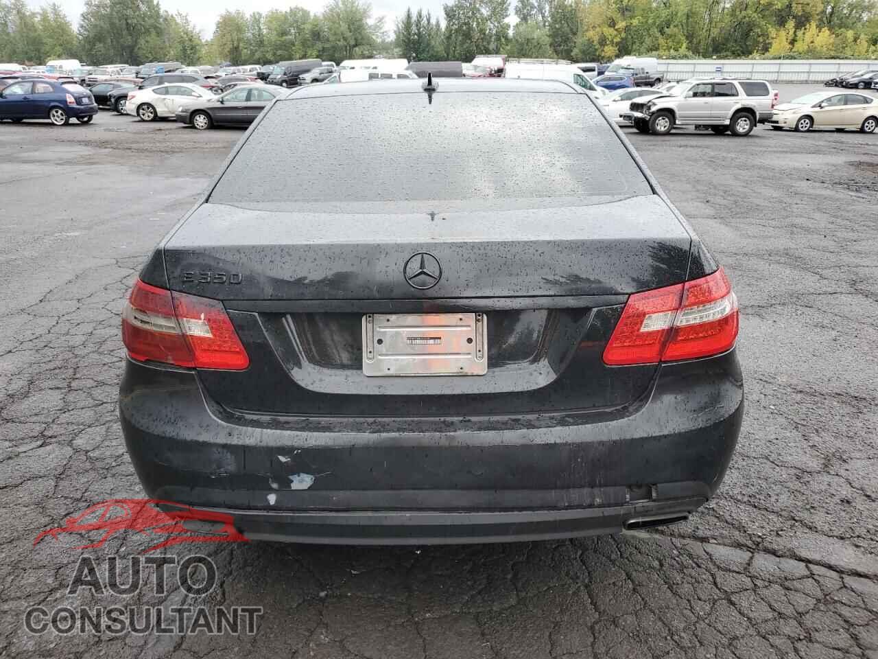 MERCEDES-BENZ E-CLASS 2010 - WDDHF5GB8AA022092