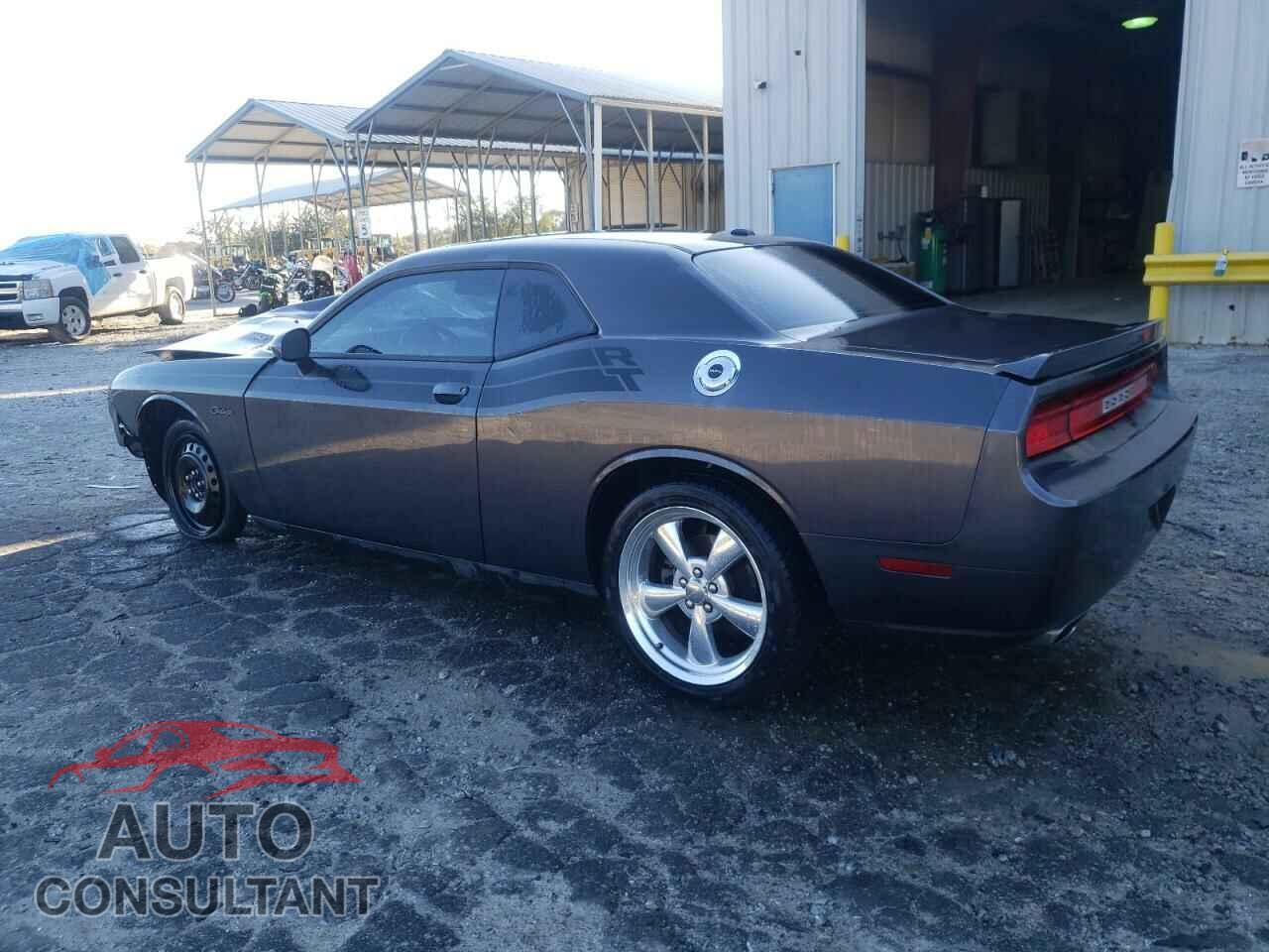 DODGE CHALLENGER 2013 - 2C3CDYBT6DH646771