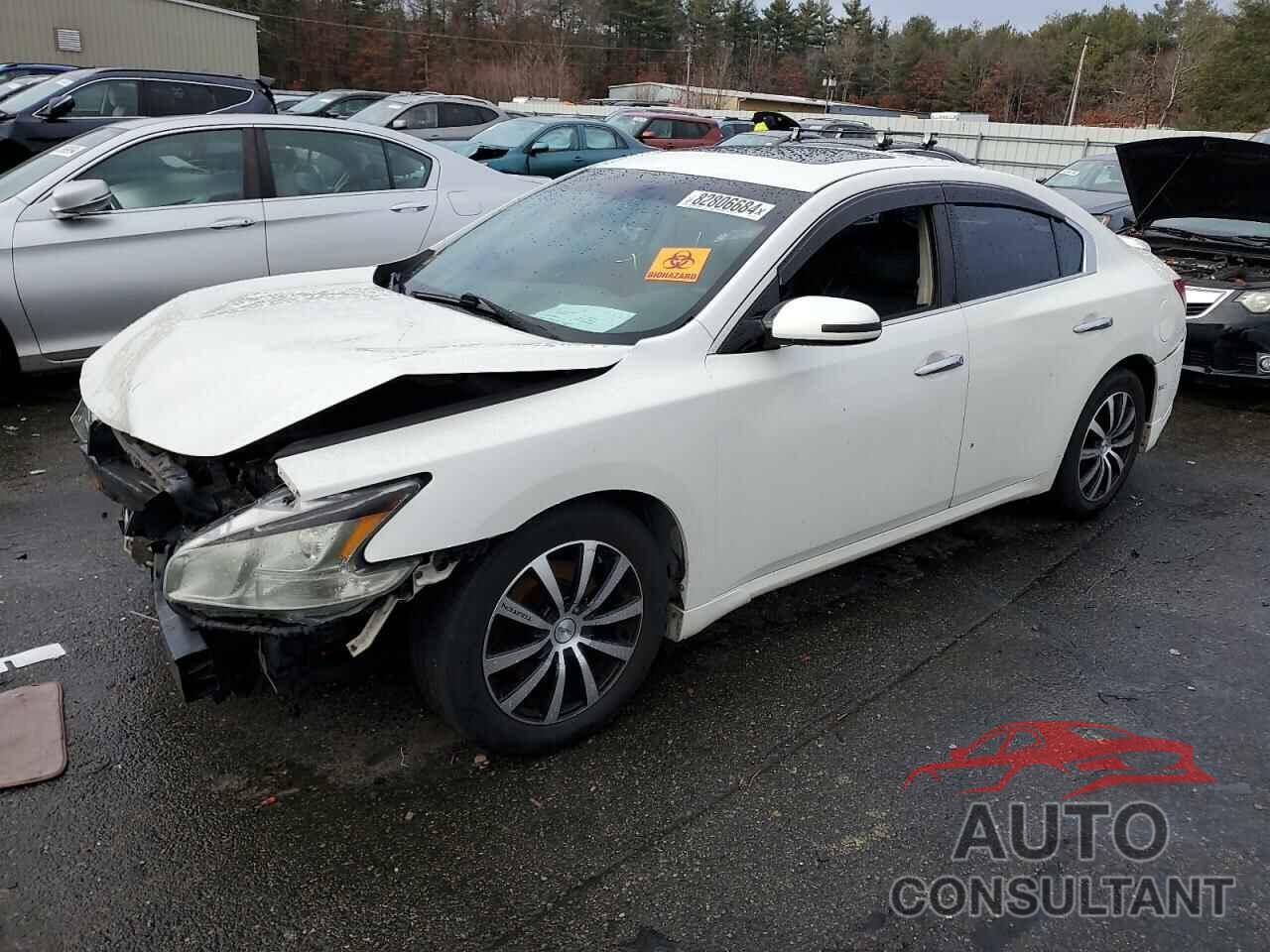 NISSAN MAXIMA 2009 - 1N4AA51E59C834534