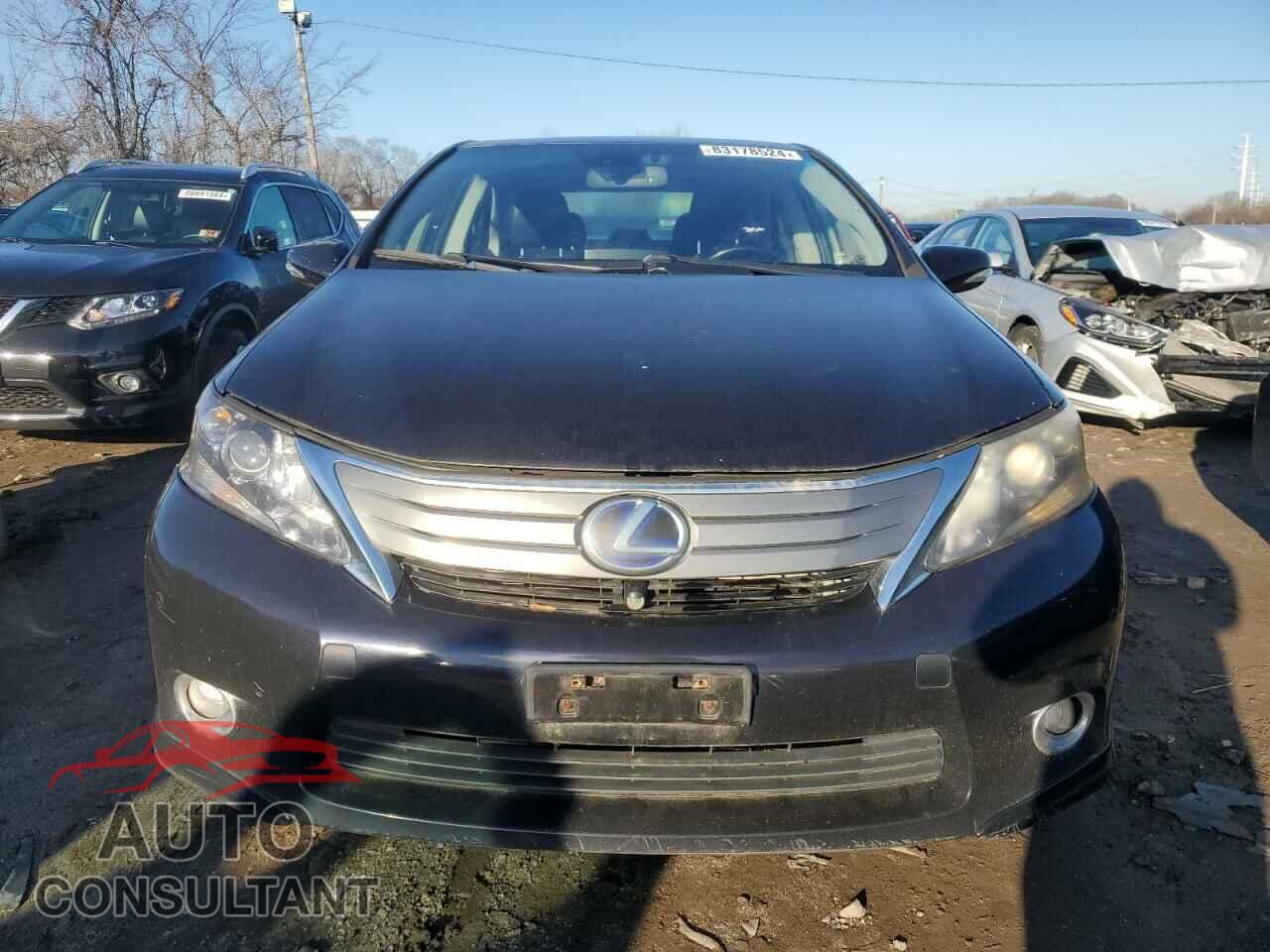 LEXUS HS 2010 - JTHBB1BA8A2018491