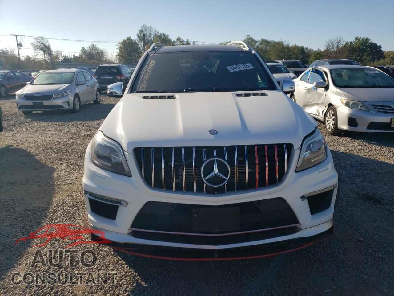 MERCEDES-BENZ GL-CLASS 2014 - 4JGDF7EE2EA317630