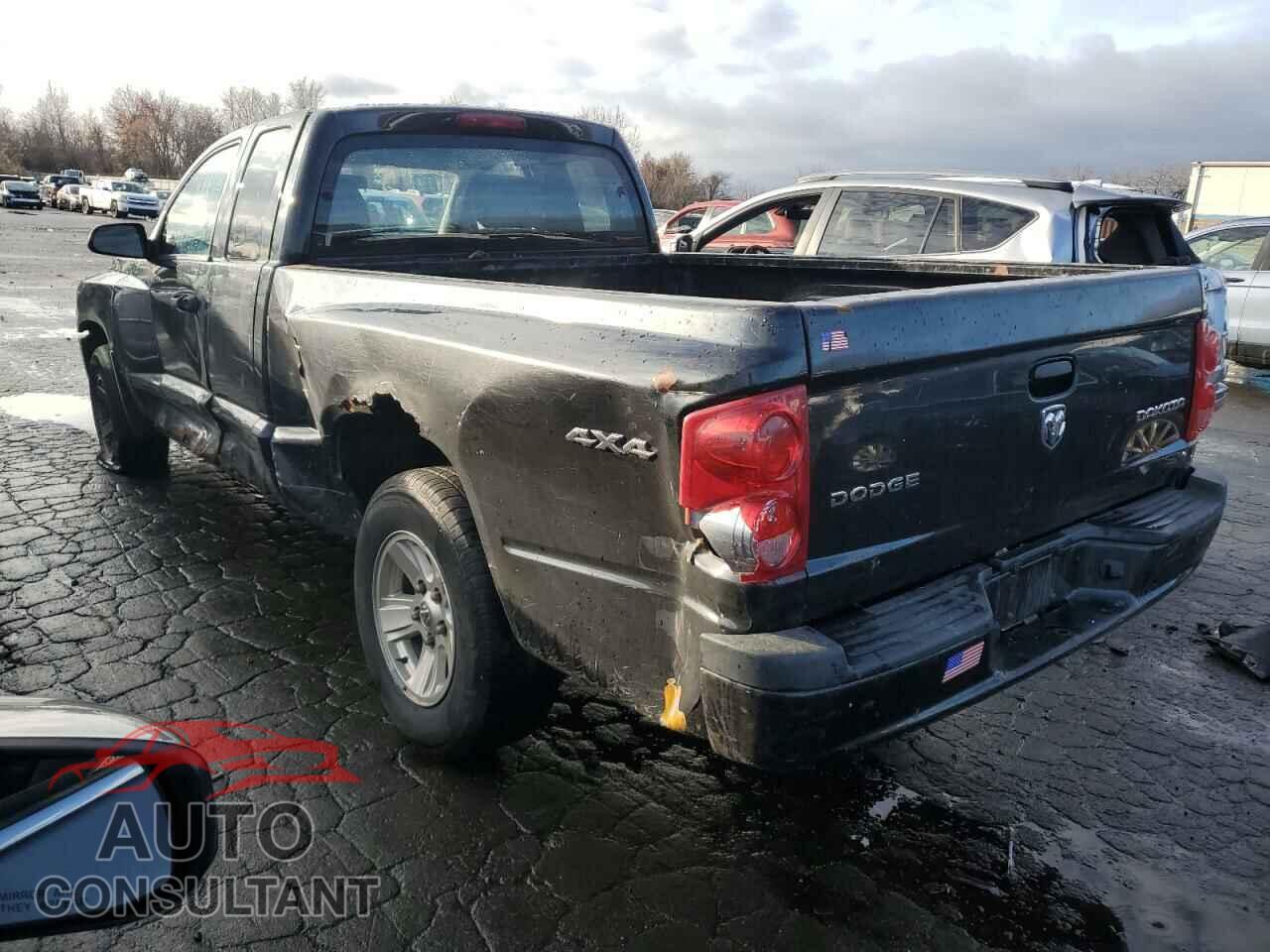 DODGE DAKOTA 2011 - 1D7RW2BK3BS602758