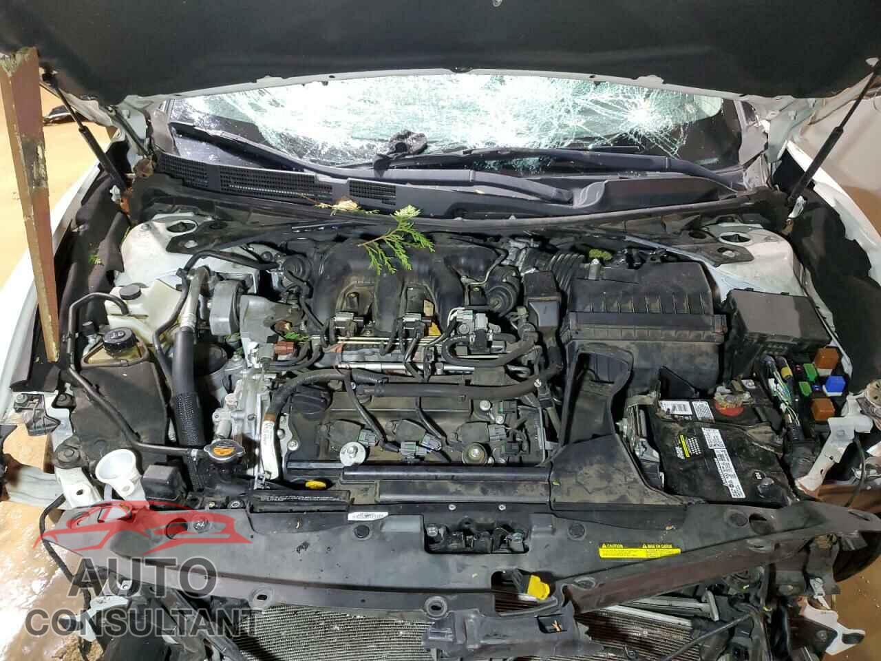 NISSAN MAXIMA 2016 - 1N4AA6AP5GC407150