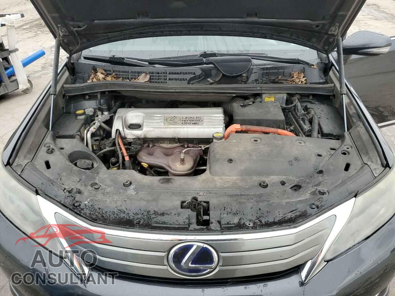 LEXUS HS 2011 - JTHBB1BA8B2046308