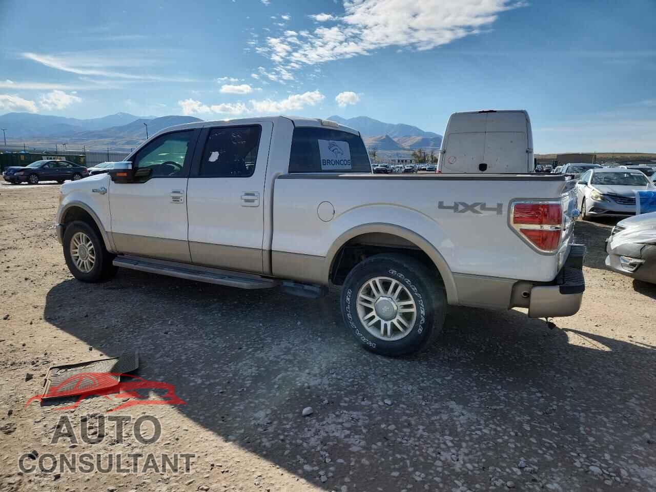 FORD F-150 2010 - 1FTFW1EV6AKE34495