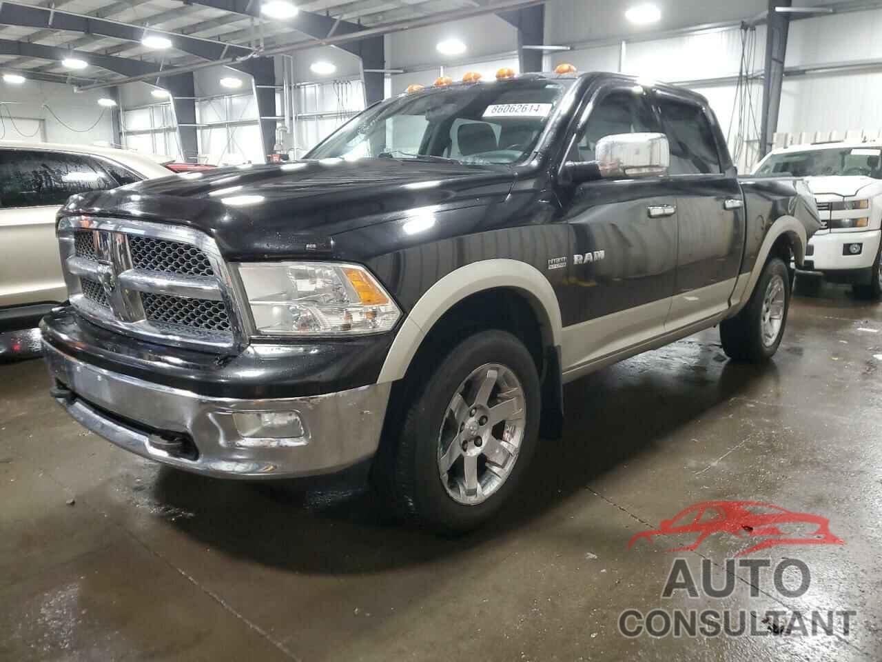 DODGE All Models 2010 - 1D7RV1CT8AS252269