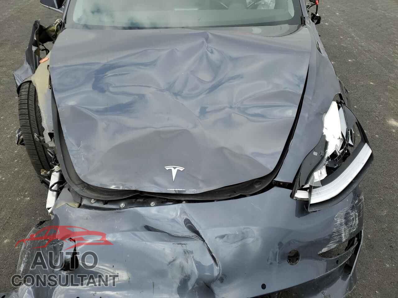TESLA MODEL 3 2019 - 5YJ3E1EA6KF400204