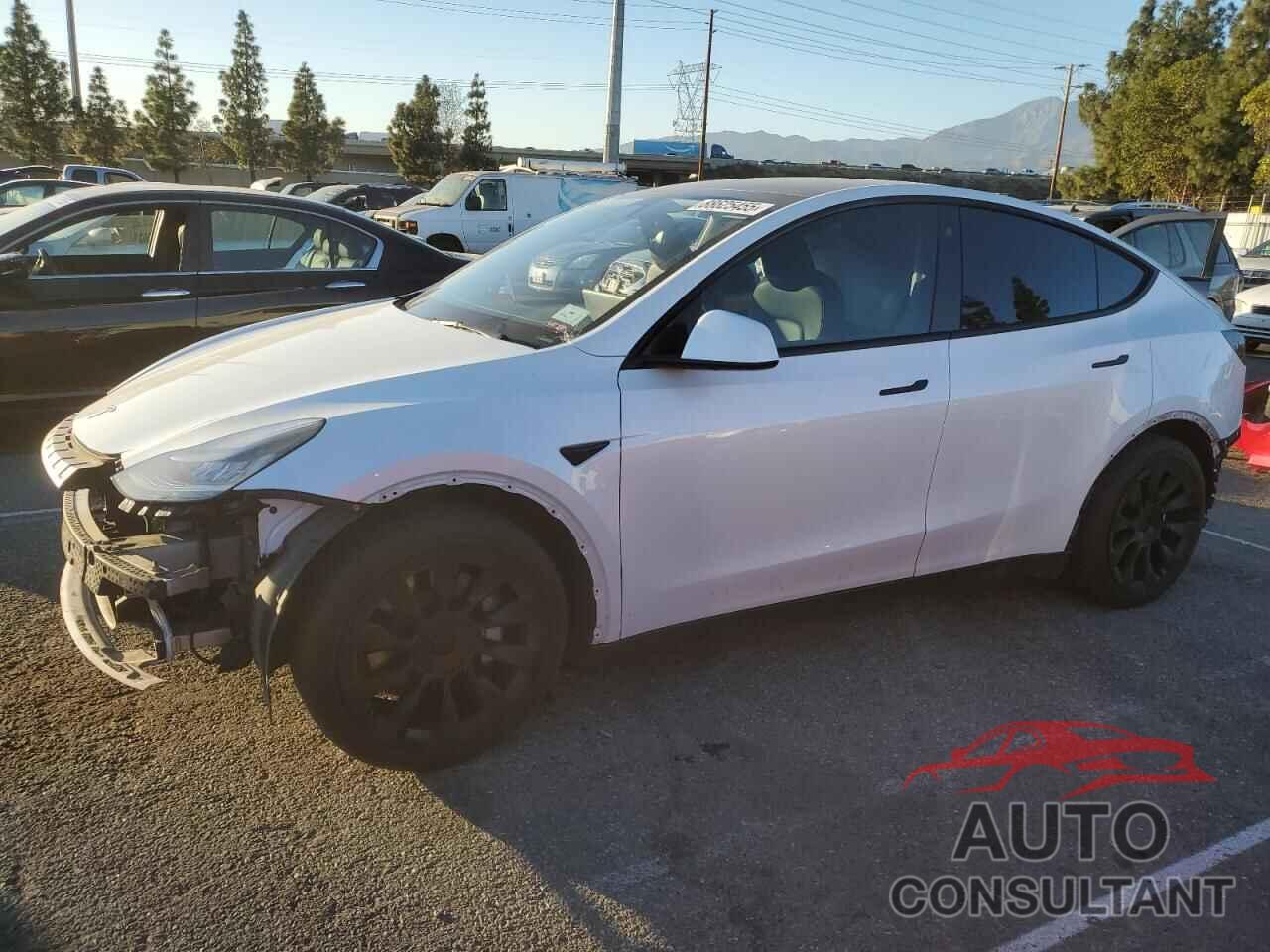 TESLA MODEL Y 2021 - 5YJYGDEE7MF140063