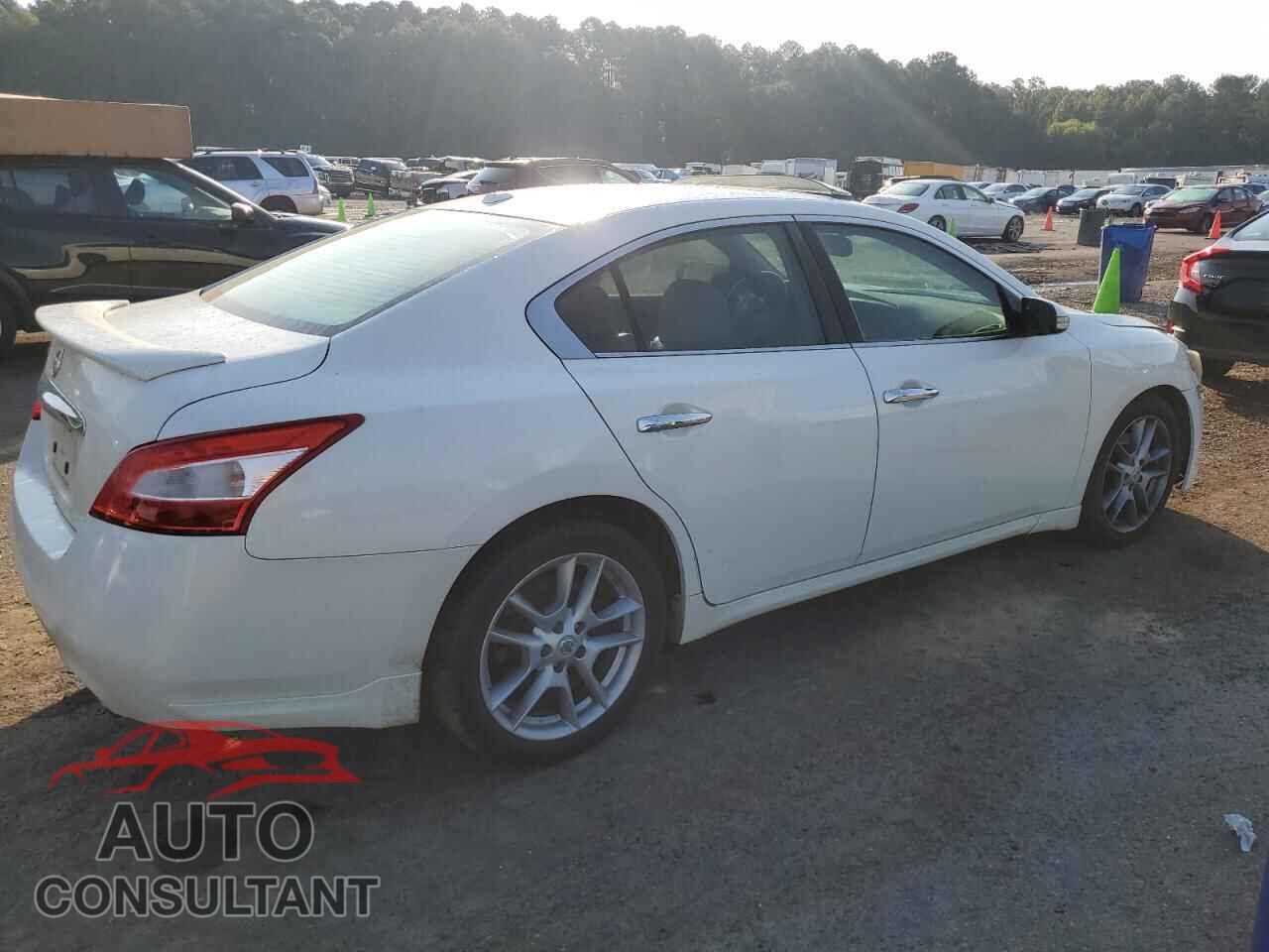 NISSAN MAXIMA 2010 - 1N4AA5APXAC827990