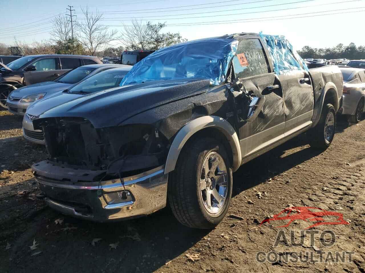 DODGE All Models 2011 - 1D7RV1CT7BS588433