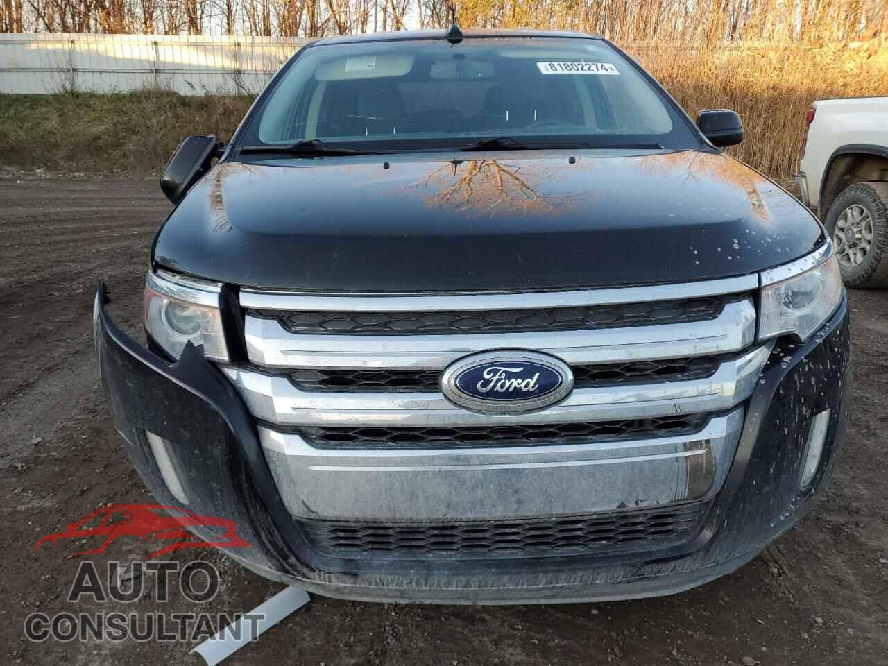 FORD EDGE 2014 - 2FMDK4JCXEBA82347