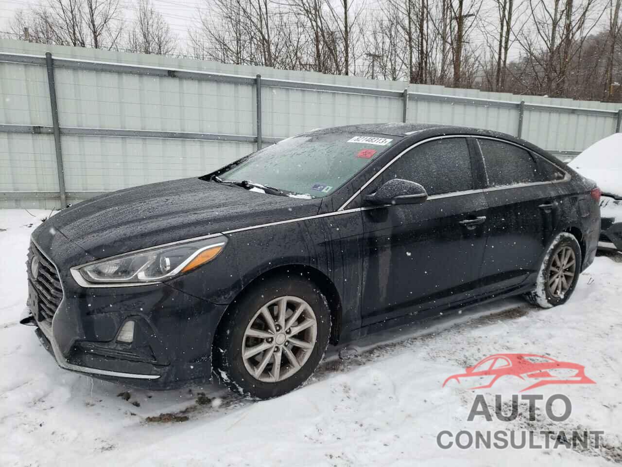 HYUNDAI SONATA 2019 - 5NPE24AFXKH736184