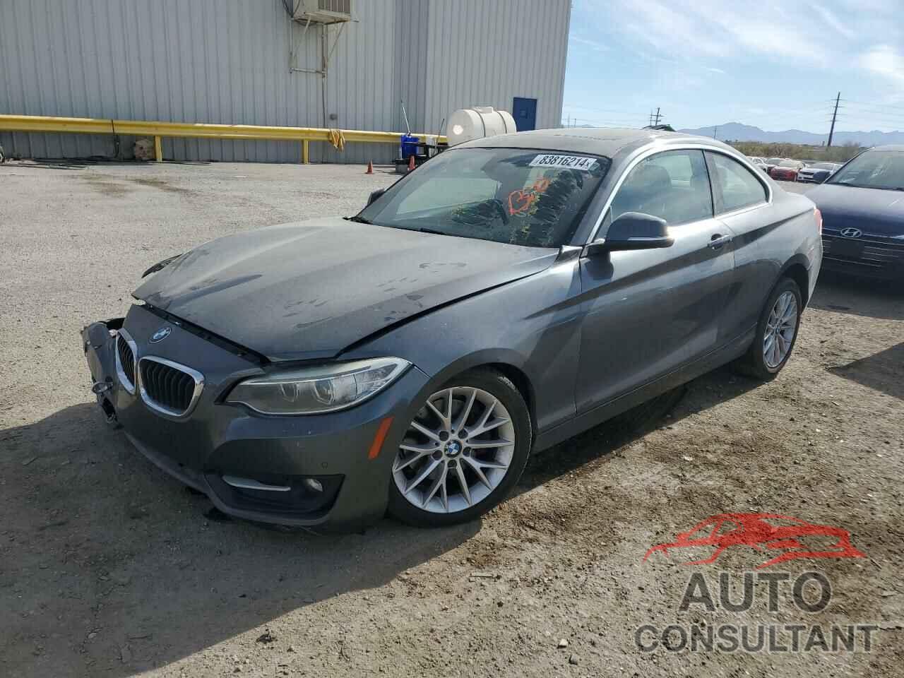 BMW 2 SERIES 2016 - WBA1F9C50GV544961