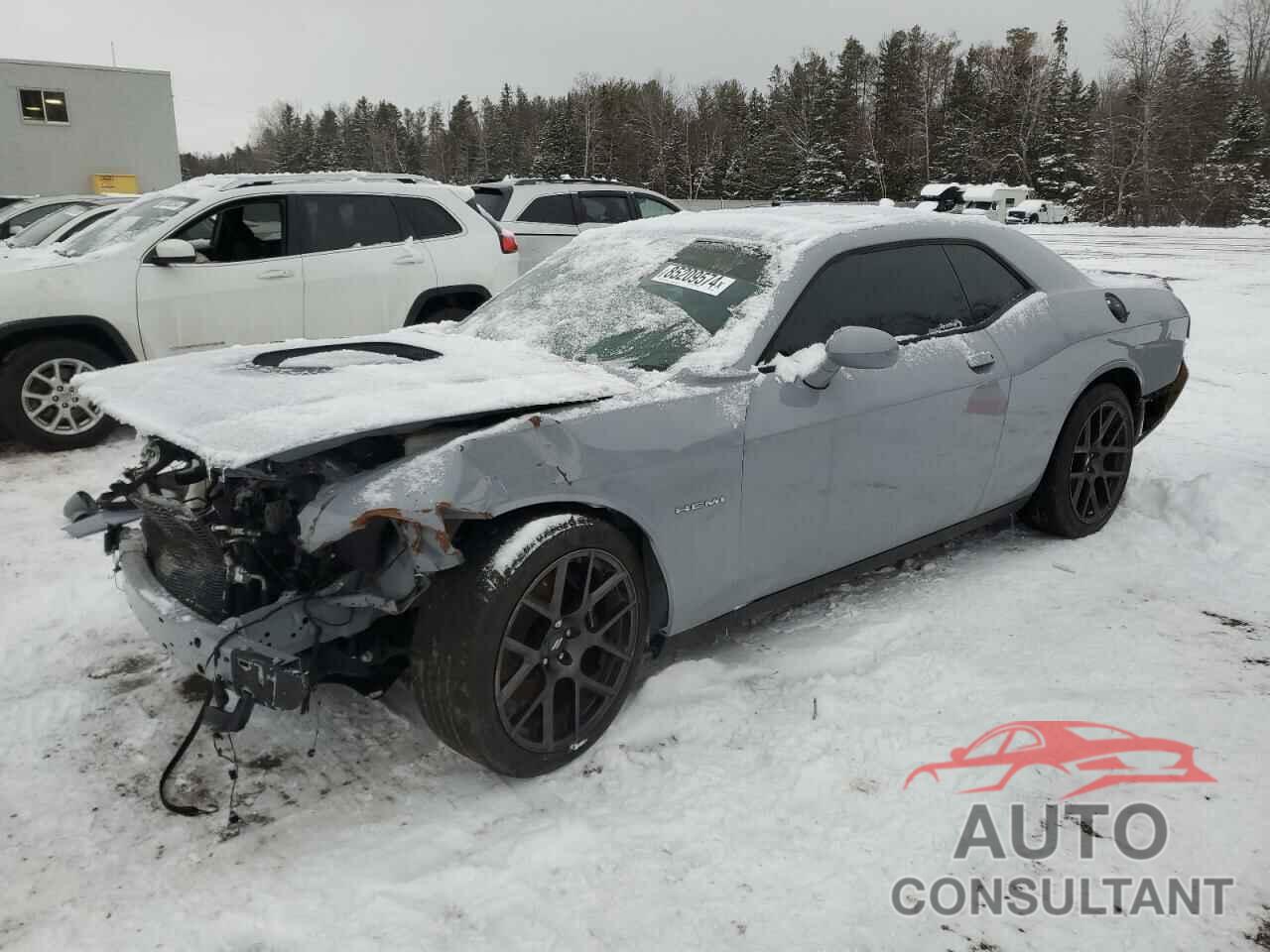 DODGE CHALLENGER 2022 - 2C3CDZBT9NH199599