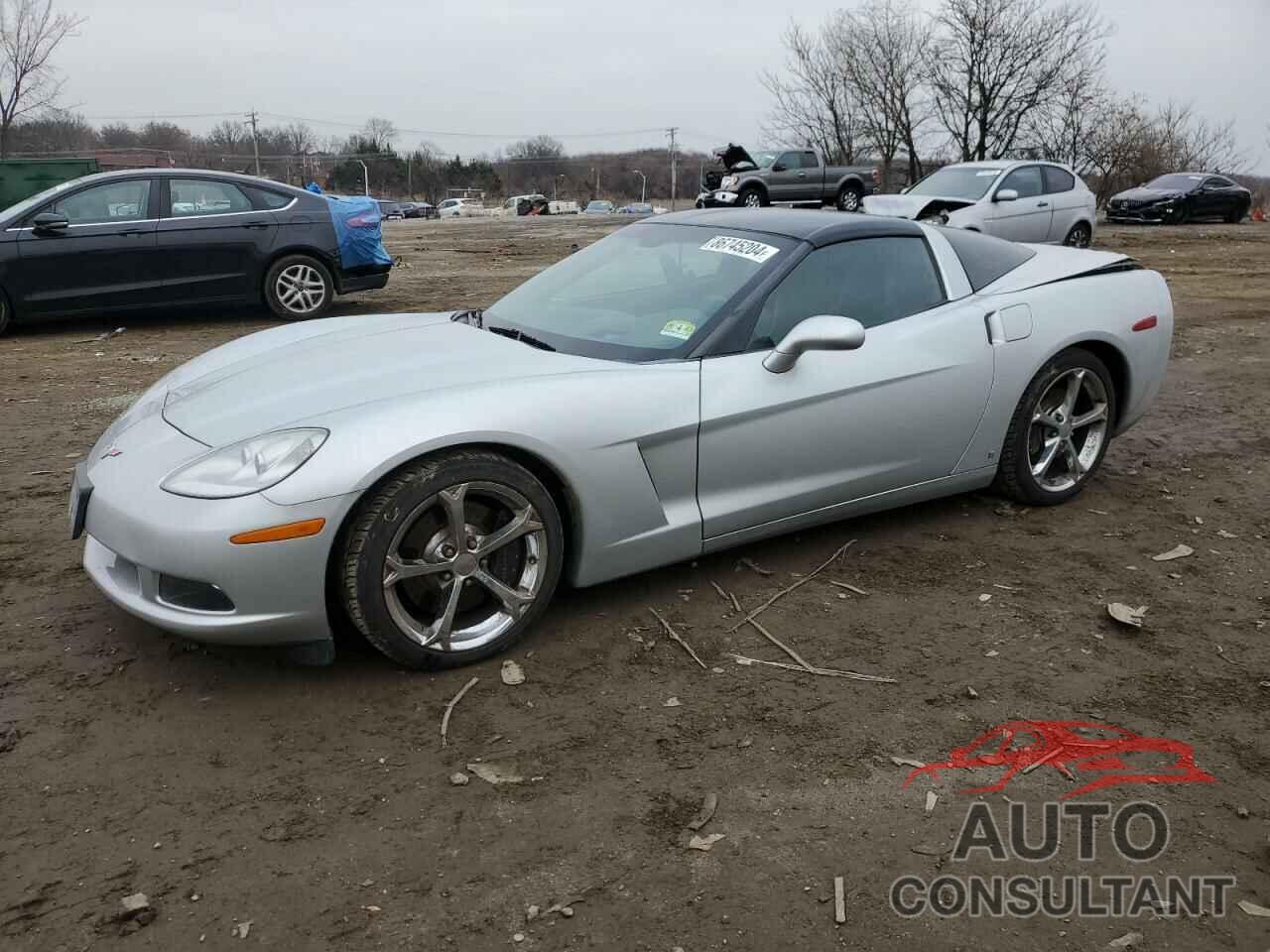 CHEVROLET CORVETTE 2009 - 1G1YY26W395109192