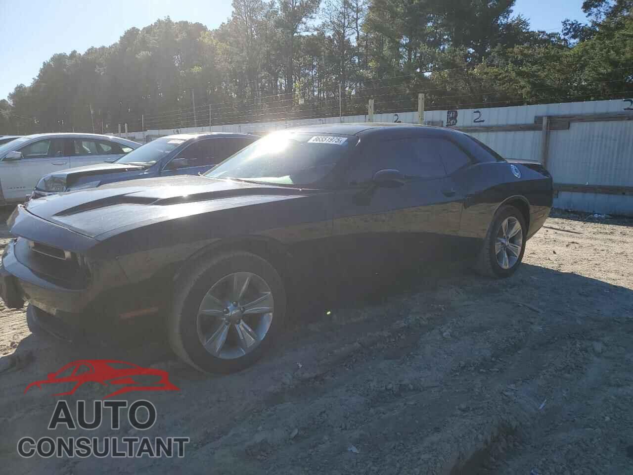 DODGE CHALLENGER 2019 - 2C3CDZAG2KH629666