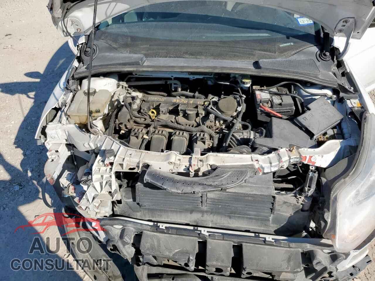 FORD FOCUS 2012 - 1FAHP3F25CL395326