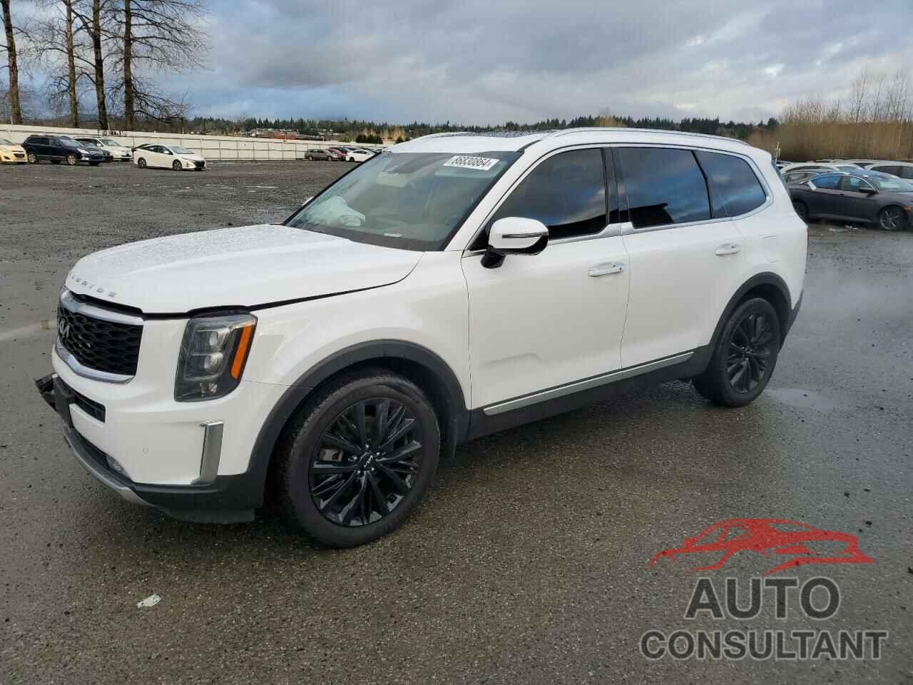 KIA TELLURIDE 2022 - 5XYP5DHC3NG228744