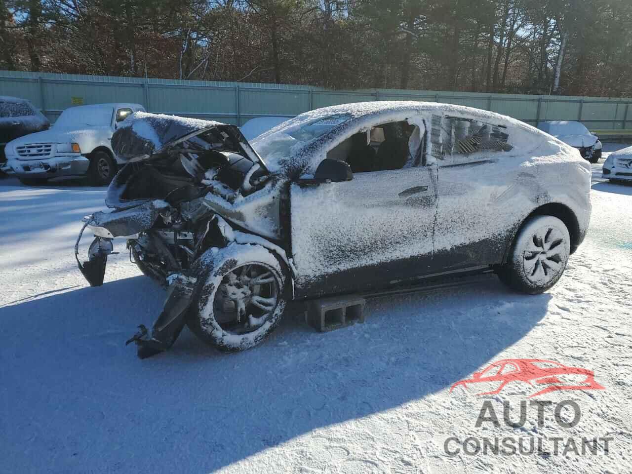 TESLA MODEL Y 2024 - 7SAYGAEE3RF111295