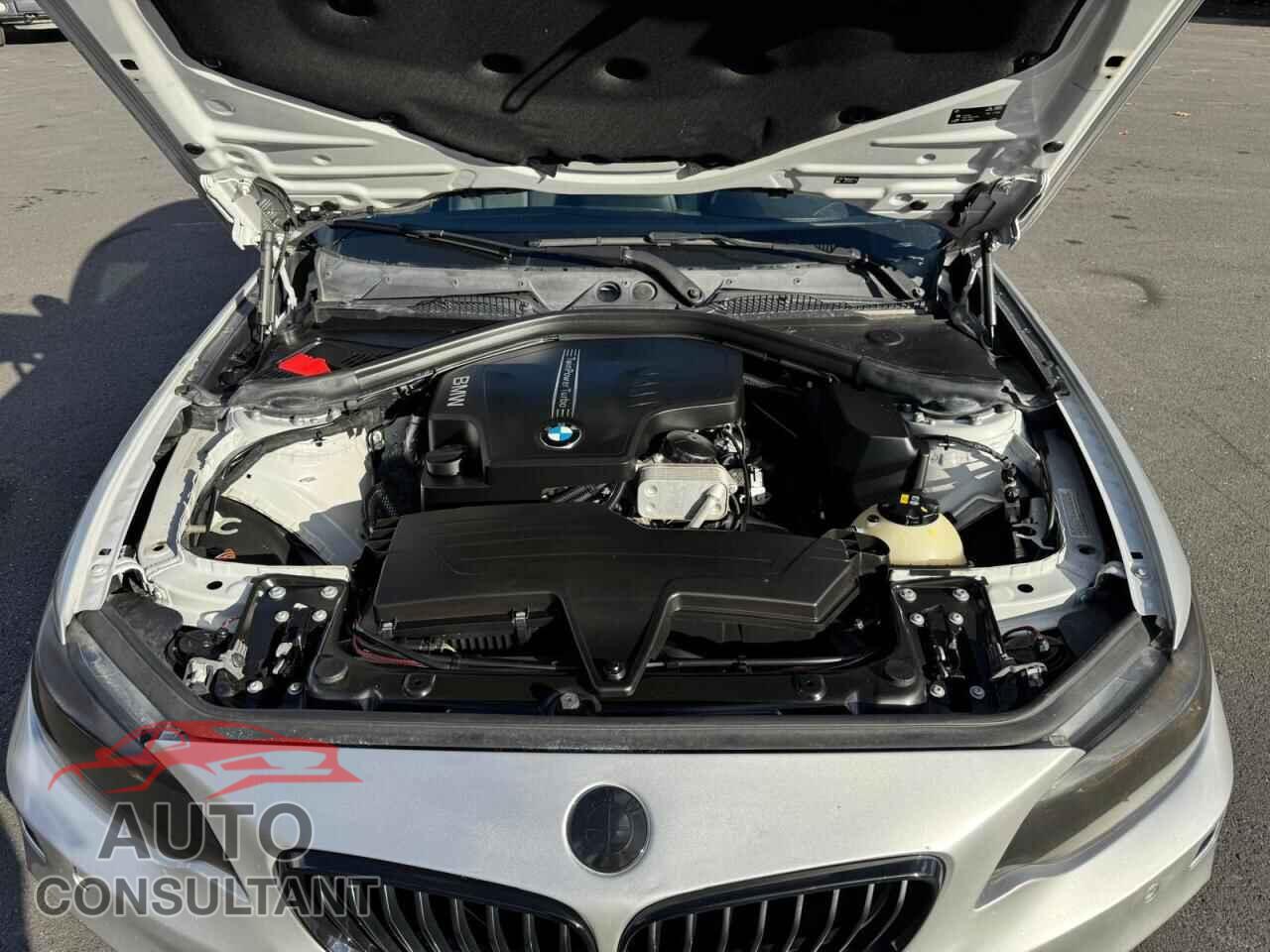 BMW 2 SERIES 2016 - WBA1F9C56GV545208