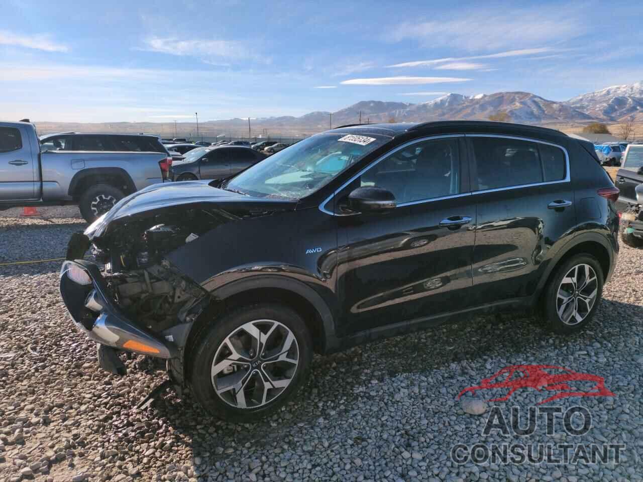 KIA SPORTAGE 2022 - KNDPNCAC6N7027423