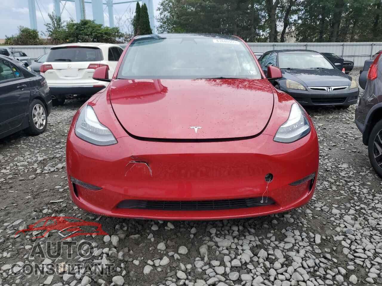 TESLA MODEL Y 2021 - 5YJYGDEE1MF196368
