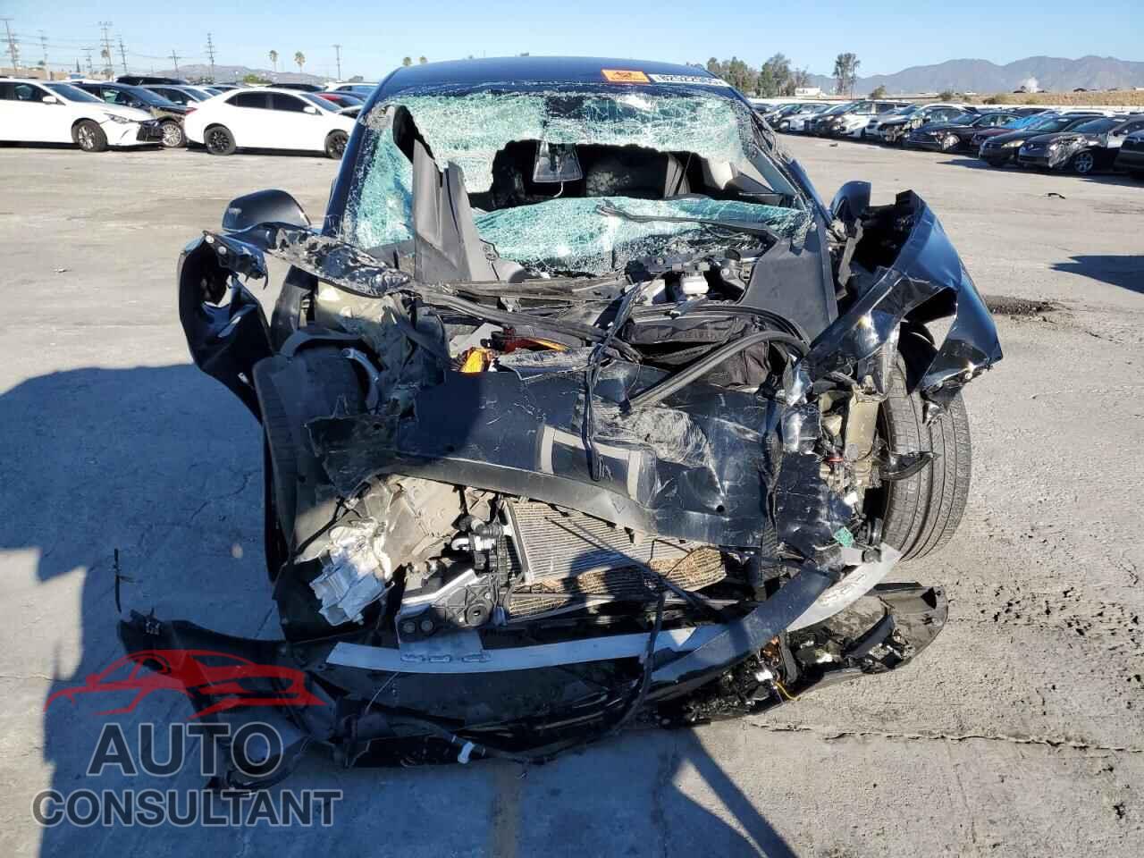 TESLA MODEL 3 2019 - 5YJ3E1EA5KF305553