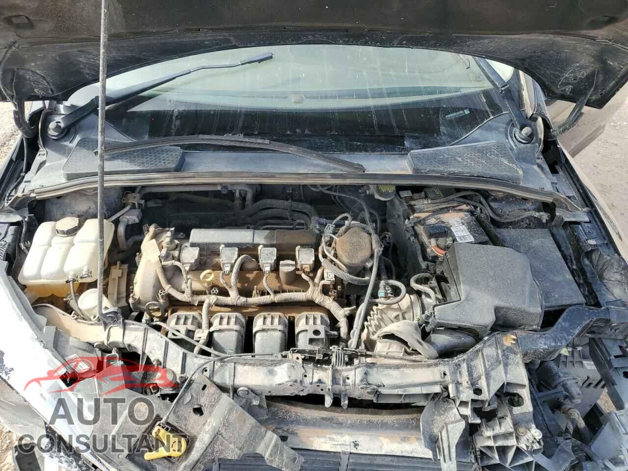 FORD FOCUS 2015 - 1FADP3F28FL313768