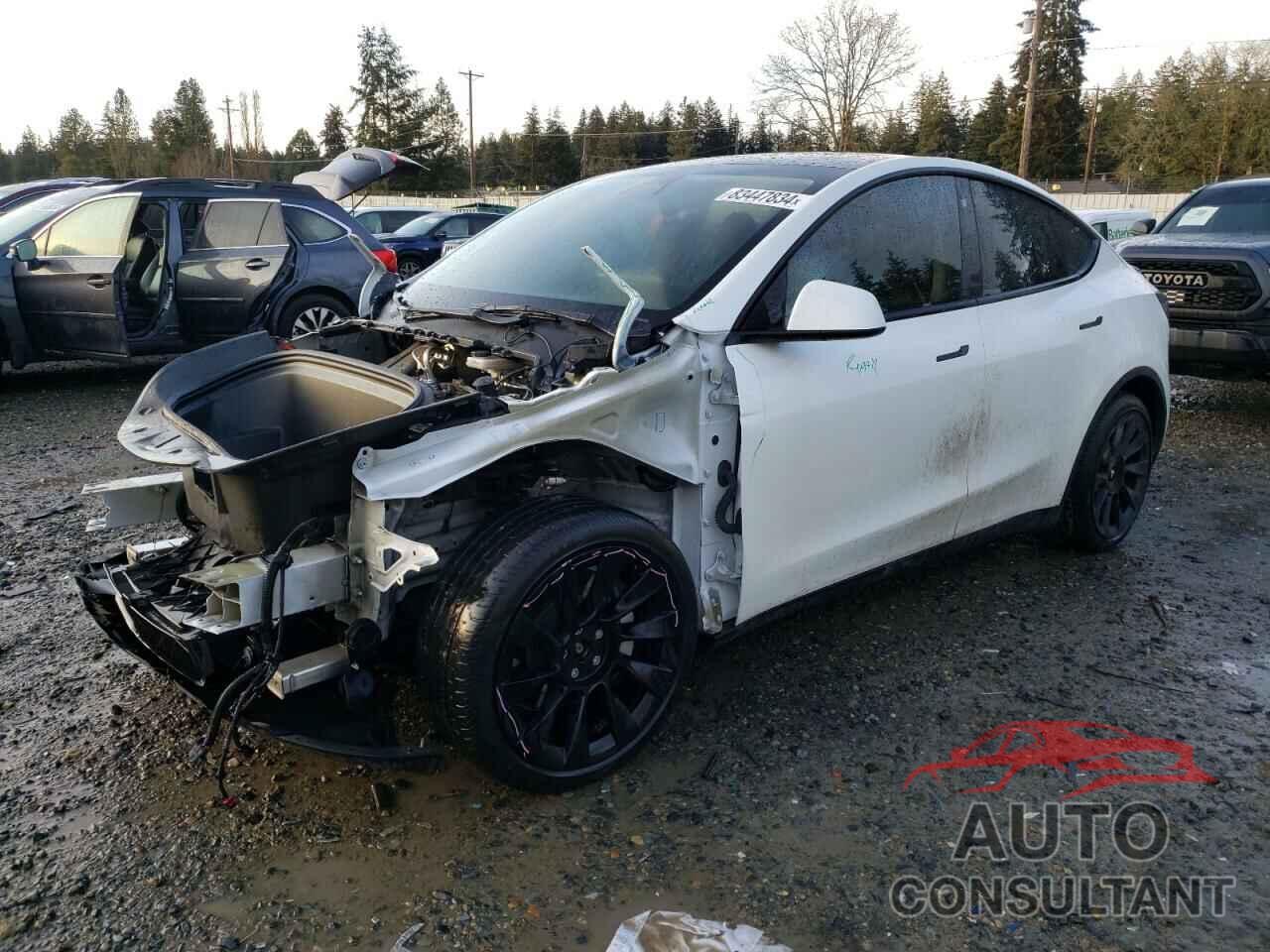 TESLA MODEL Y 2022 - 7SAYGDEE5NF345109