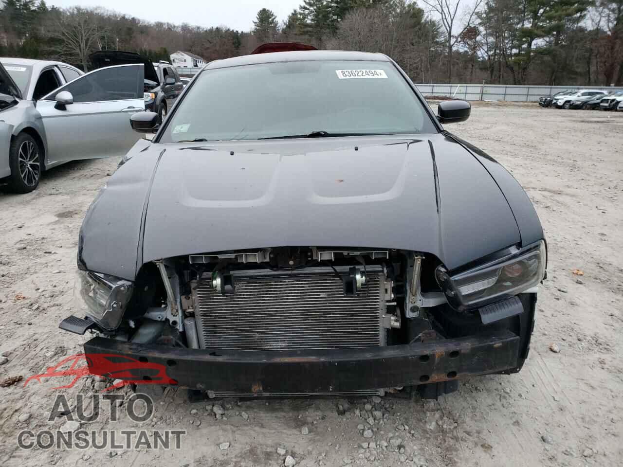 DODGE CHARGER 2014 - 2C3CDXBG1EH192542