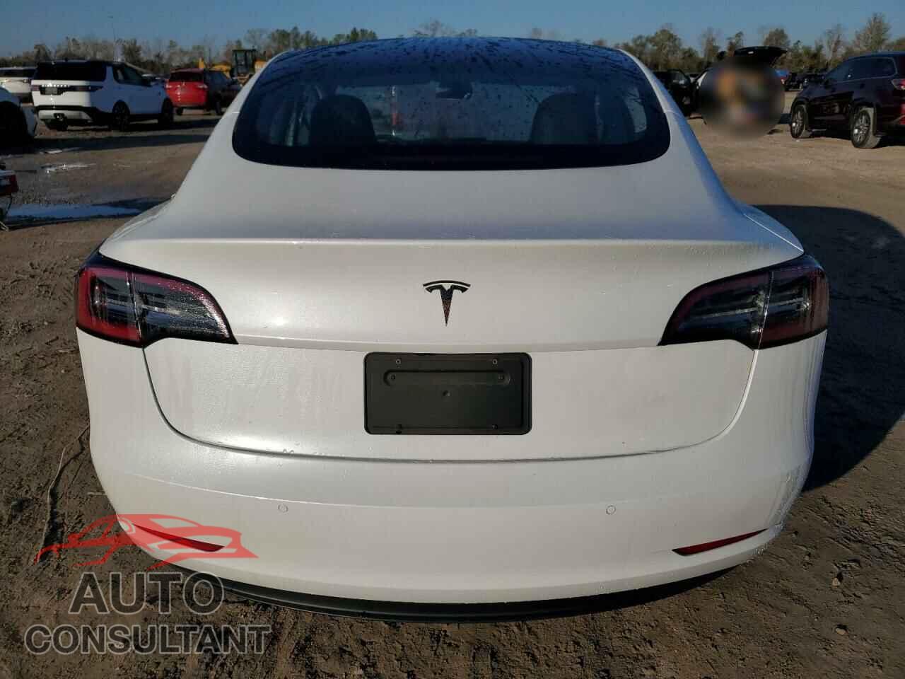 TESLA MODEL 3 2021 - 5YJ3E1EA7MF060547