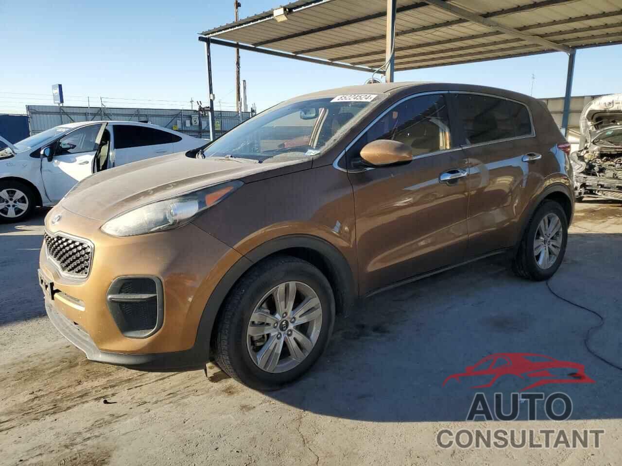 KIA SPORTAGE 2017 - KNDPM3AC2H7232258