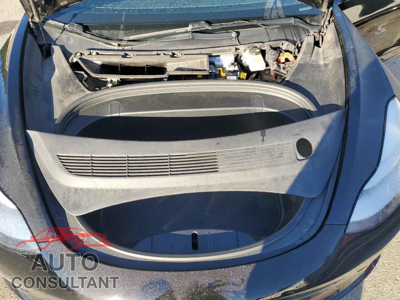 TESLA MODEL 3 2019 - 5YJ3E1EA5KF399224