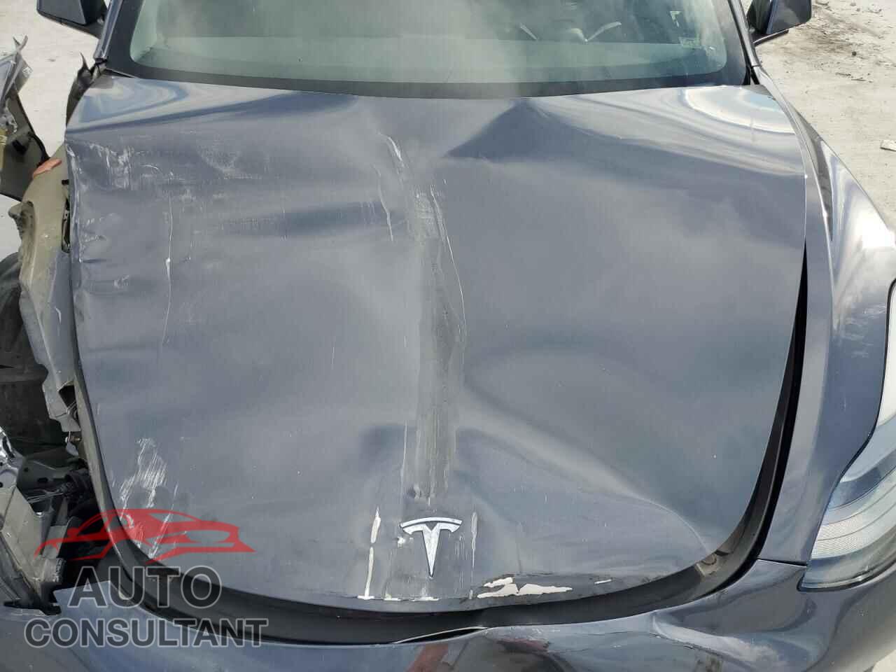 TESLA MODEL 3 2021 - 5YJ3E1EA4MF085602