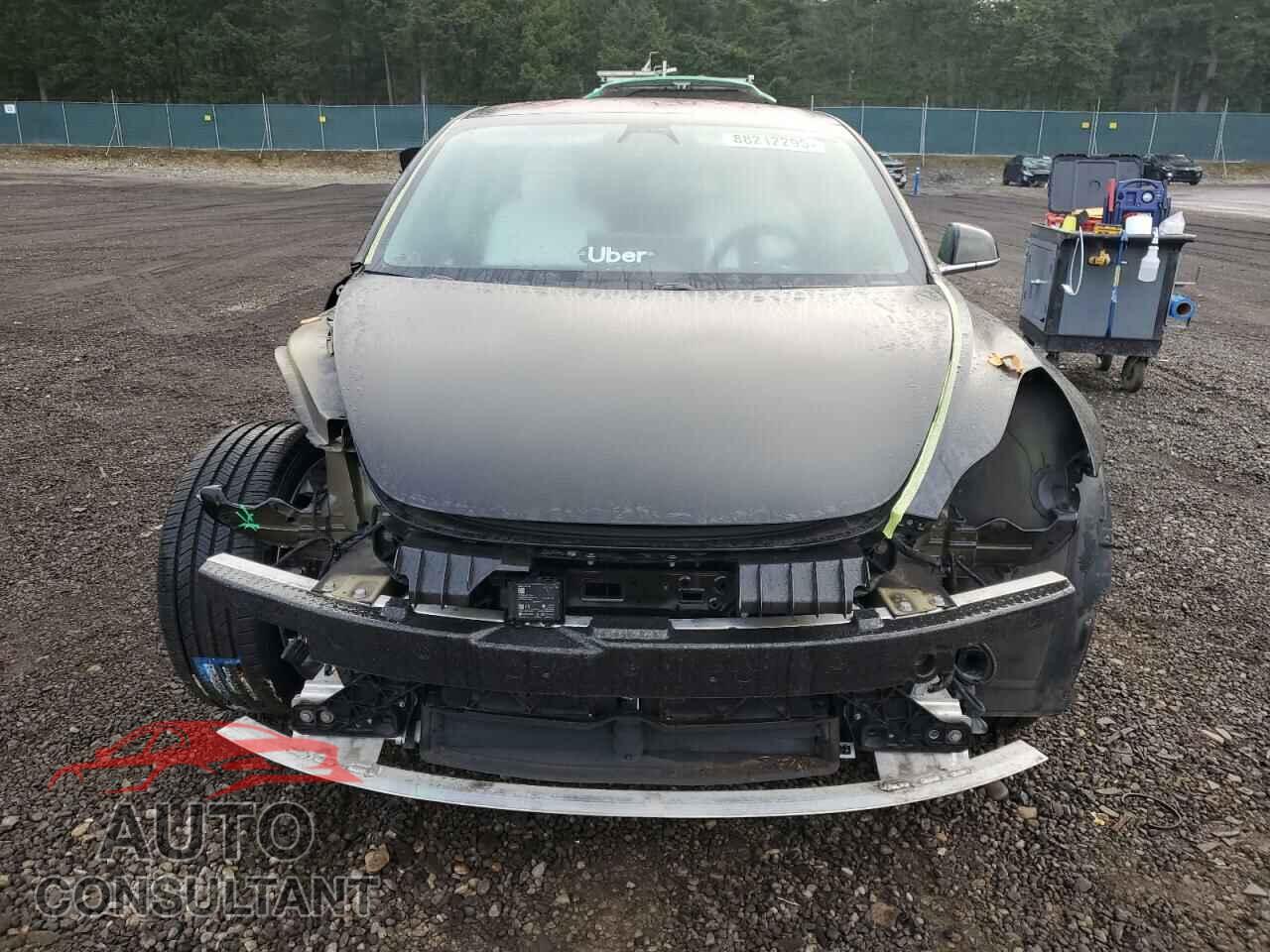 TESLA MODEL 3 2019 - 5YJ3E1EA9KF302445