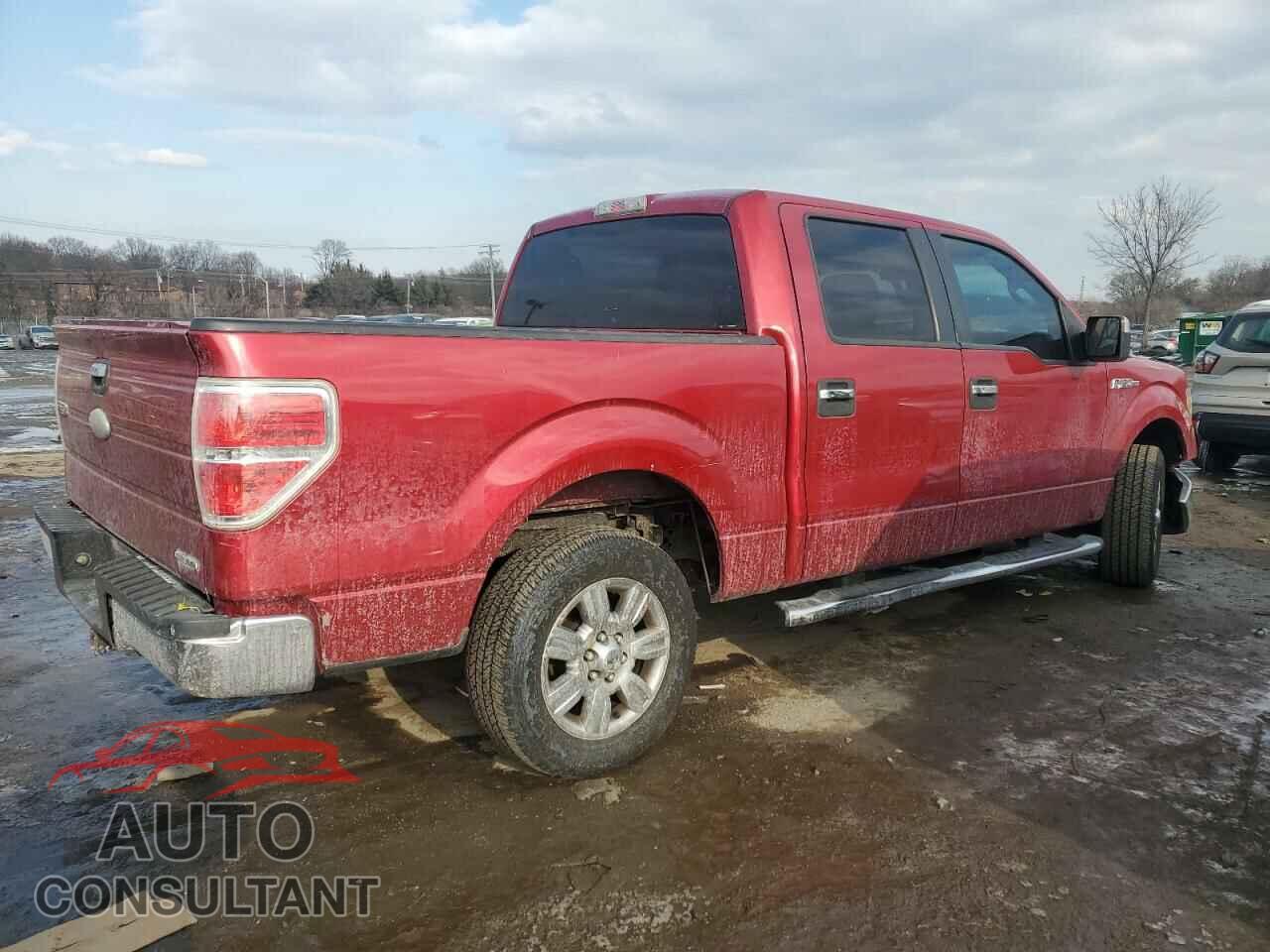 FORD F-150 2011 - 1FTEW1CM5BKD65502