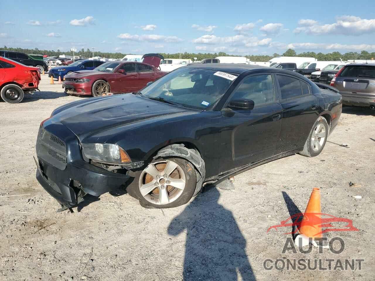 DODGE CHARGER 2014 - 2C3CDXHG2EH213860