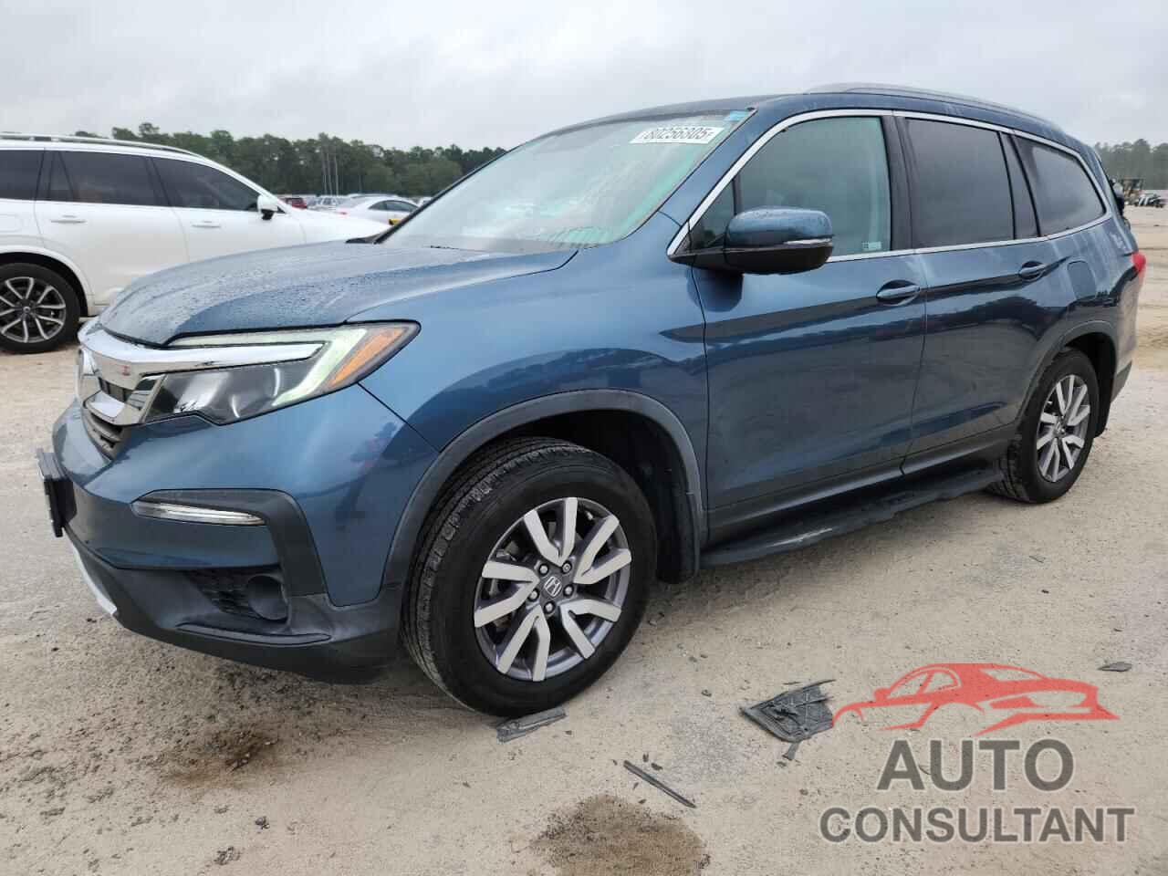 HONDA PILOT 2019 - 5FNYF5H59KB043657