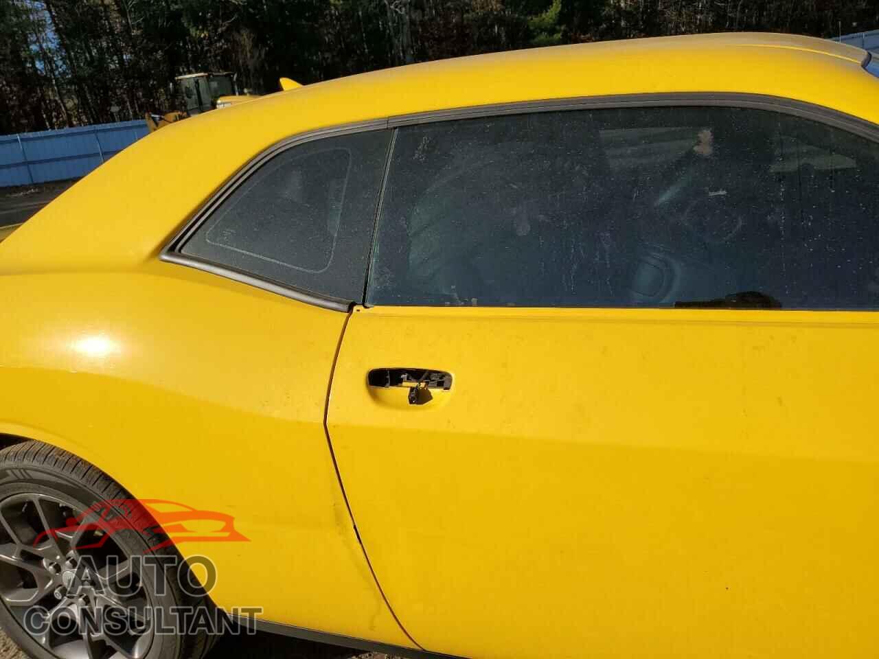 DODGE CHALLENGER 2018 - 2C3CDZGG5JH205677