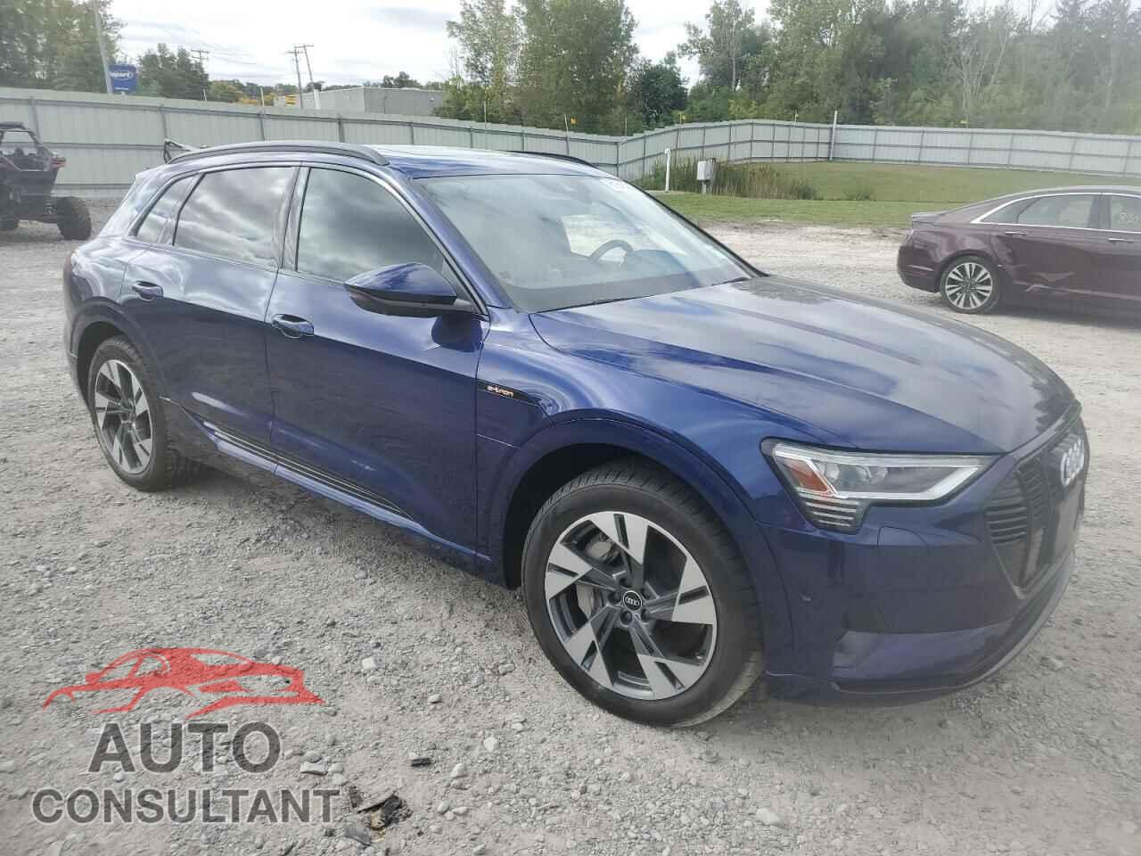AUDI E-TRON 2021 - WA1AAAGE2MB017640