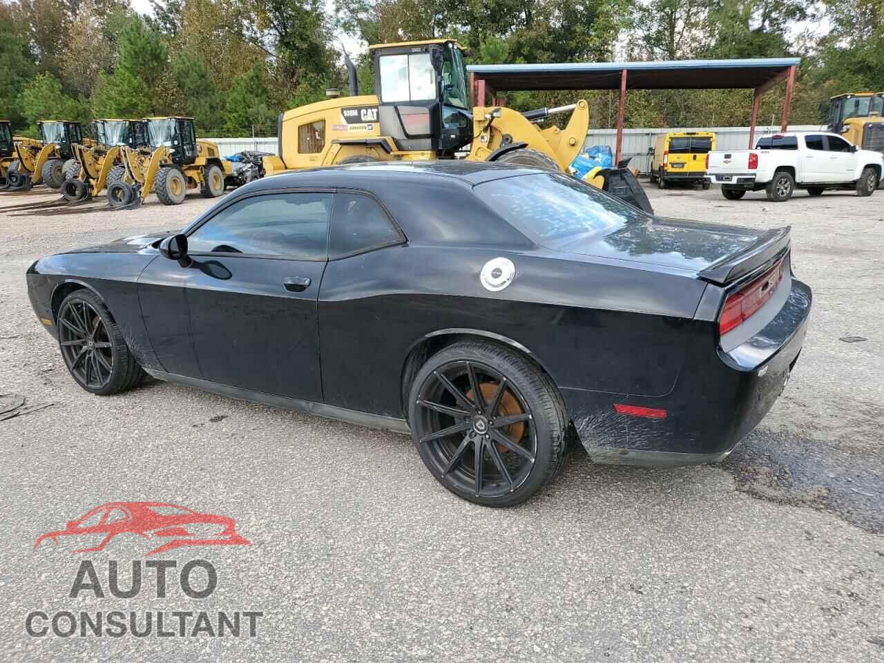 DODGE CHALLENGER 2013 - 2C3CDYAG3DH511591