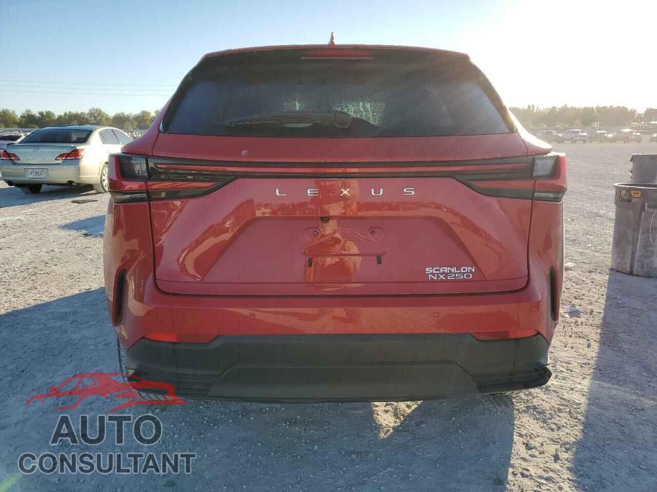 LEXUS NX 250 2023 - 2T2GDCAZ3PC005206