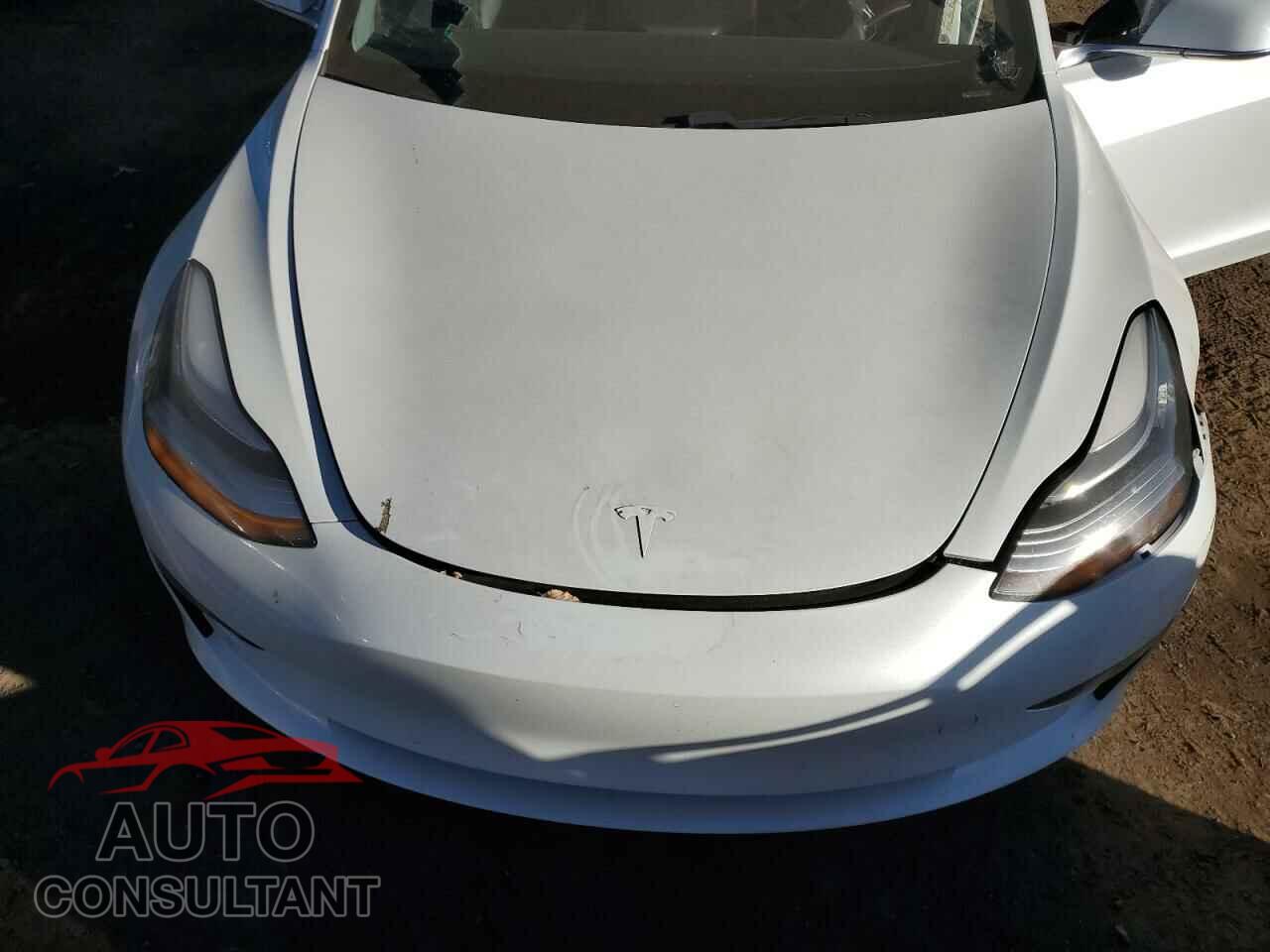 TESLA MODEL 3 2019 - 5YJ3E1EB2KF437517