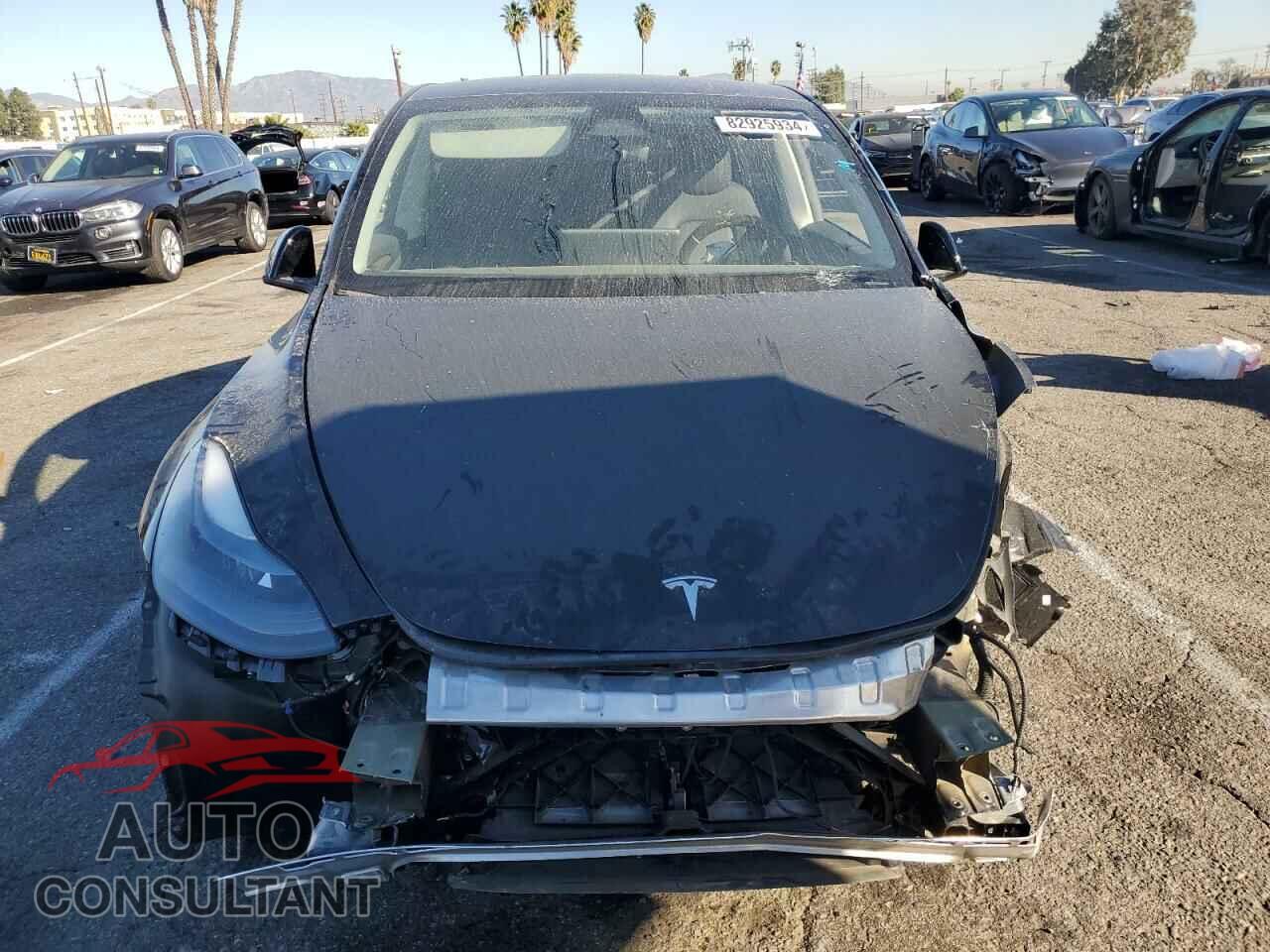 TESLA MODEL Y 2024 - 7SAYGDEF1RF163776