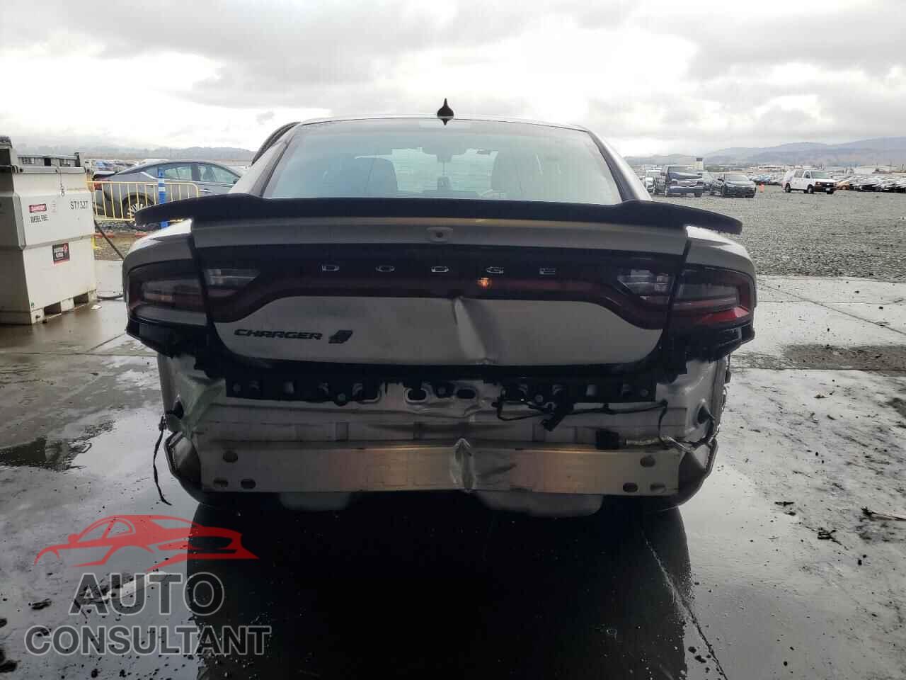 DODGE CHARGER 2019 - 2C3CDXJG6KH743450