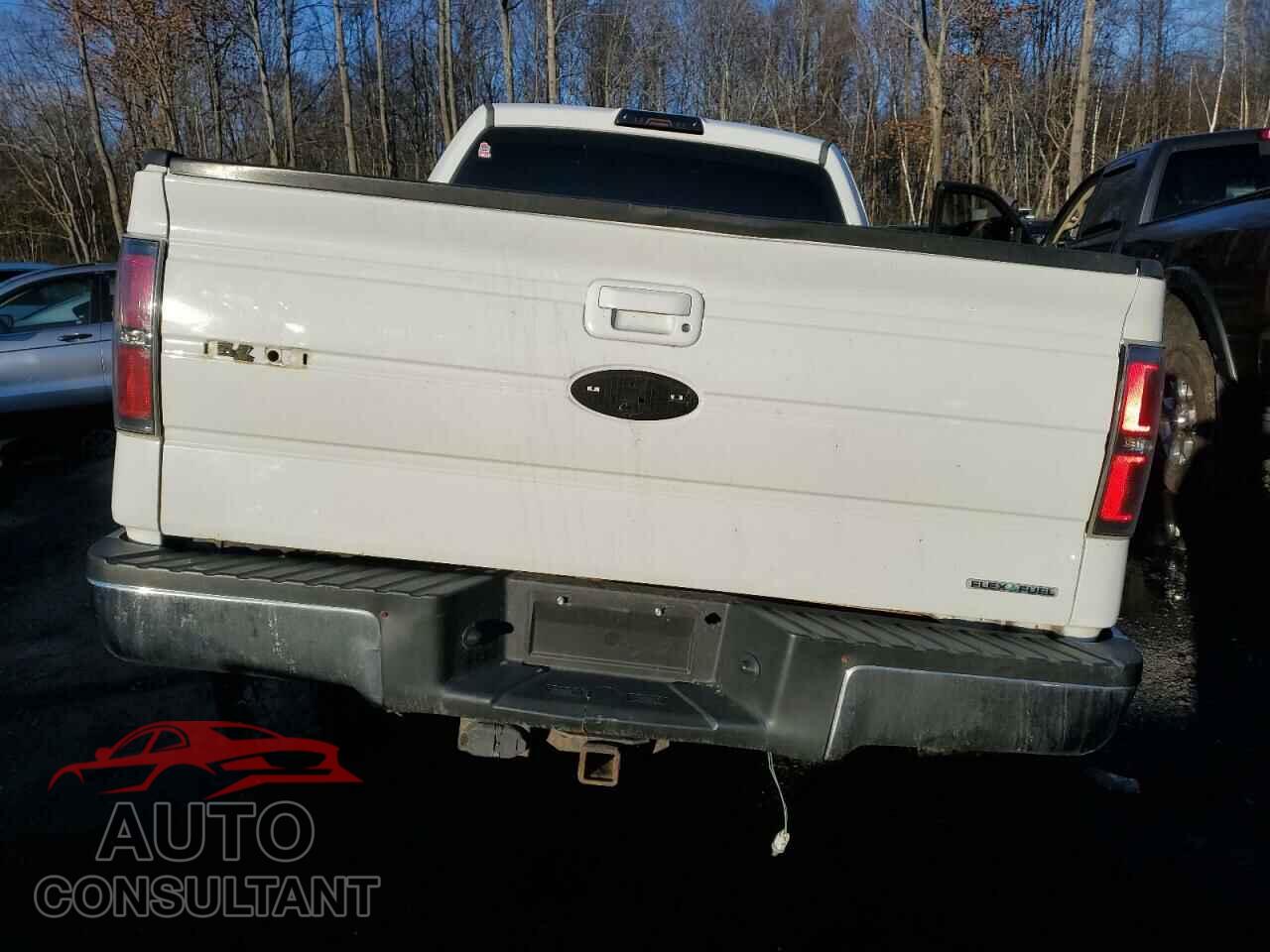 FORD F-150 2012 - 1FTFX1EF9CFA69201