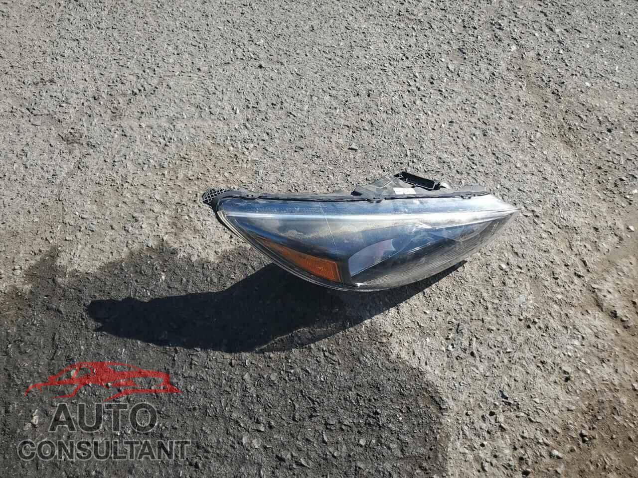 FORD FOCUS 2016 - 1FADP3K25GL223811