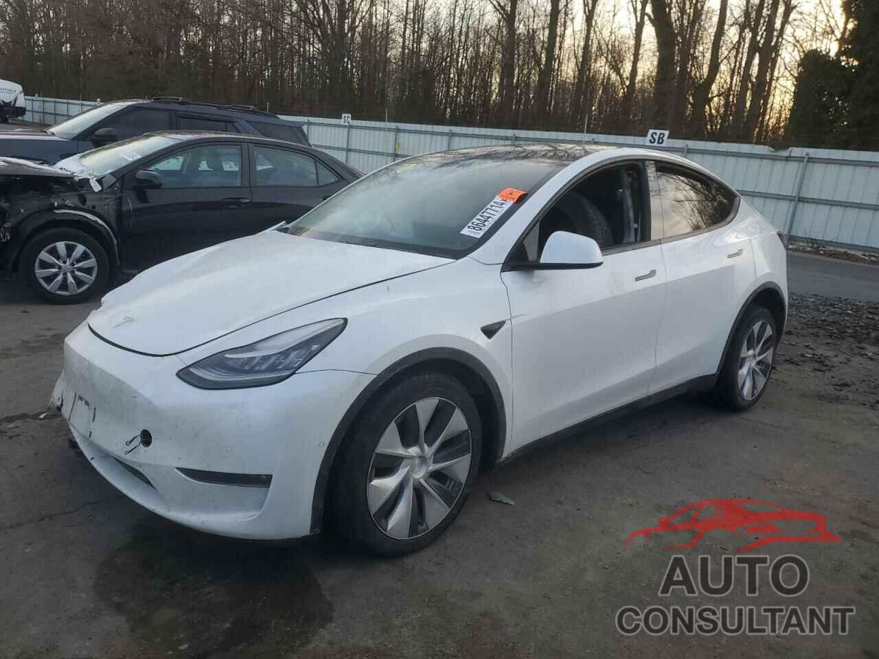 TESLA MODEL Y 2021 - 5YJYGDEE2MF191793