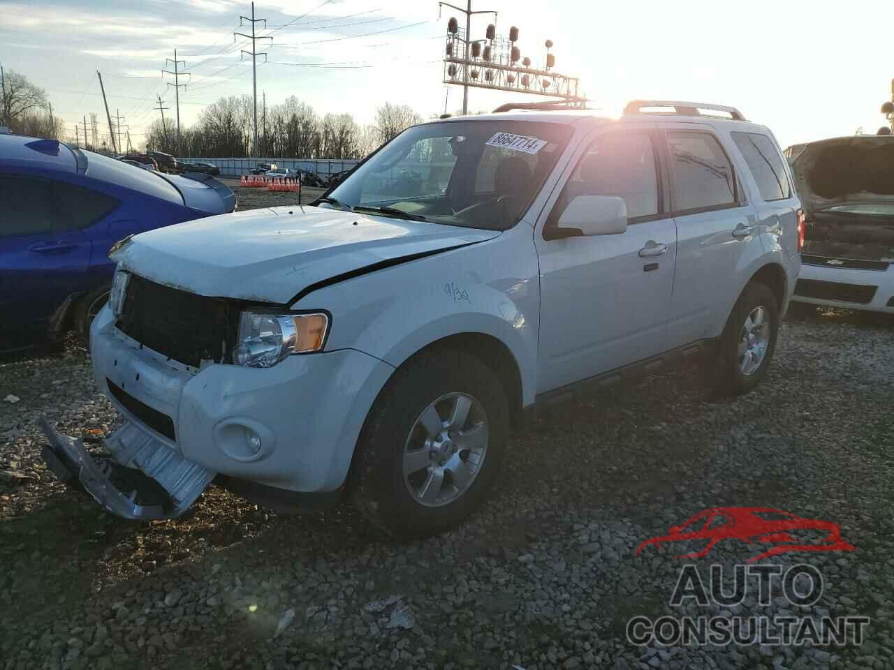 FORD ESCAPE 2011 - 1FMCU9EG7BKC28995