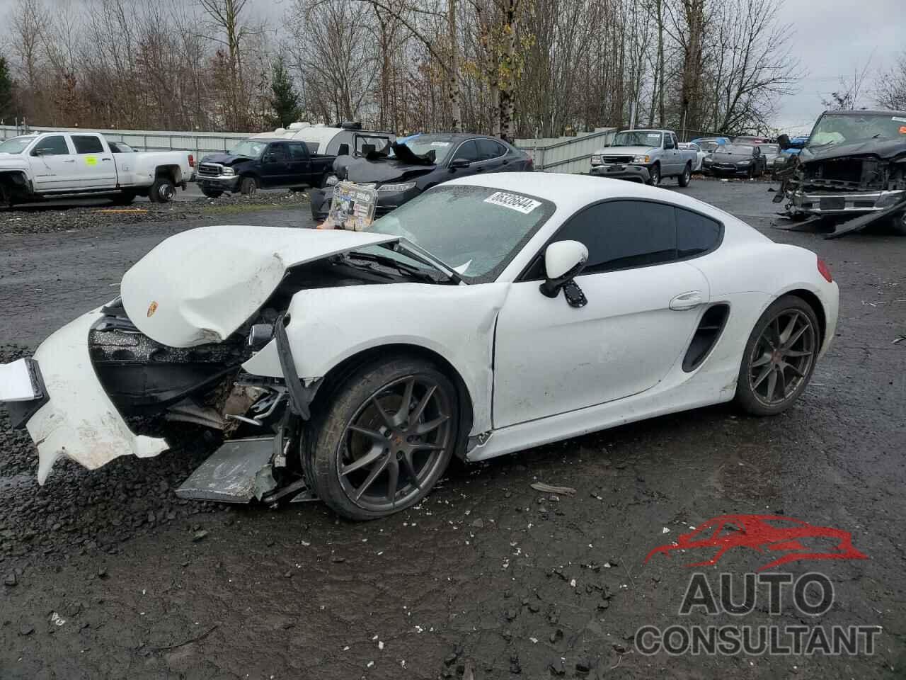 PORSCHE CAYMAN 2014 - WP0AA2A81EK172051